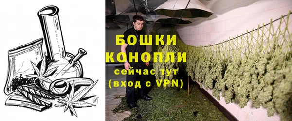 сатива Нефтекумск