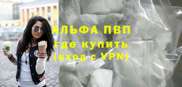 сатива Нефтекумск