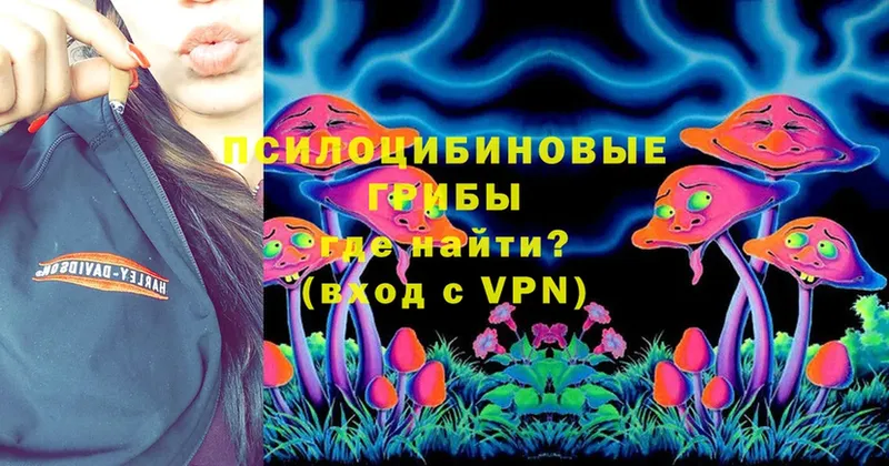 Галлюциногенные грибы Psilocybine cubensis  ОМГ ОМГ   Невельск 